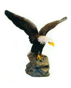 Weißkopfseeadler breitet Flügel aus lebensgroß