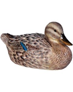 Ente weiblich lebensgroß