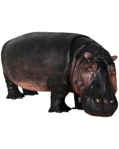 Nilpferd lebensgroß lebensgroß