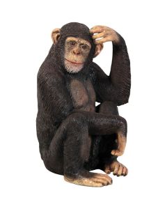 Schimpanse lebensgroß