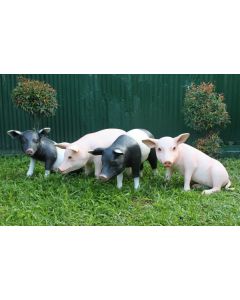 Schweine stehend und sitzend lebensgroß