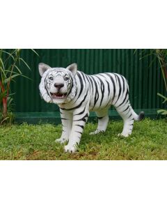 Weißer Tiger lebensgroß