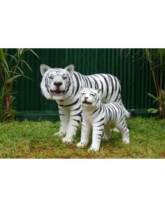 Weißer Tiger mit Baby lebensgroß