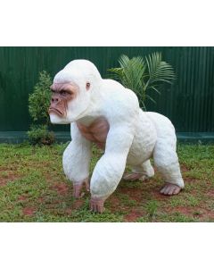 Weißer Gorilla lebensgroß