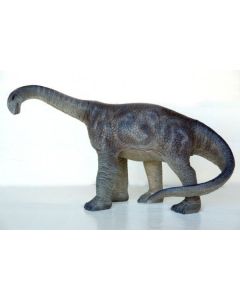 Camarasaurus mittel verkleinert