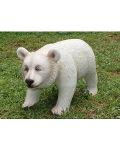 BabyPolarbär lebensgroß