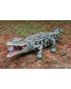 Krokodil lebensgroß