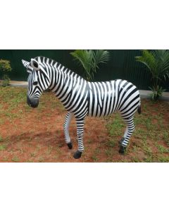 Zebra lebensgroß