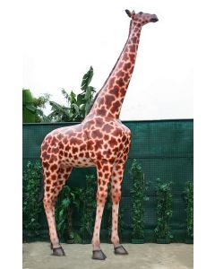 Giraffe lebensgroß