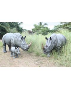 Nashorn Familie lebensgroß