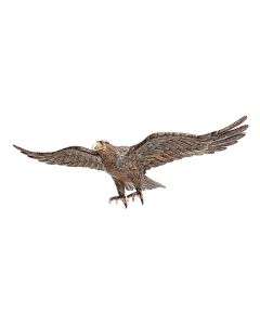 Adler lebensgroß