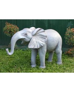 Elefant Rüssel unten lebensgroß