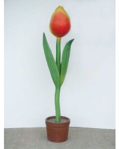 Tulpe mit rot-gelber Blüte übergroß XXL