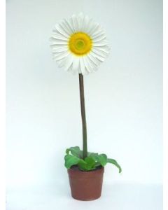 Gänseblümchen groß übergroß XXL