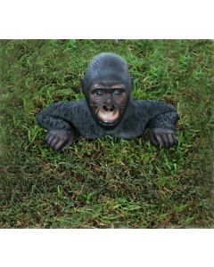 Gorilla aus Boden kletternd lebensgroß