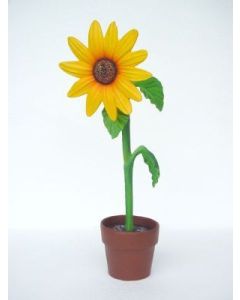 Sonnenblume klein vergrößert