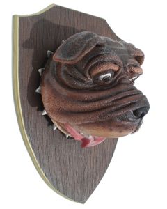 Bulldogkopf auf Holz lebensgroß