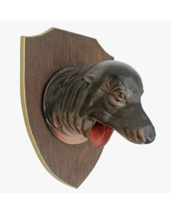 Seelöwenkopf auf Holz lebensgroß
