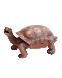 Eisfach in der Schildkröte lebensgroß