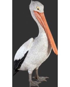 Pelikan lebensgroß