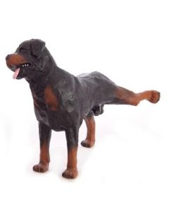 Rottweiler Kampfhund lebensgroß