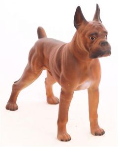Boxer Hund Kampfhund lebensgroß