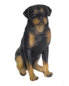 Rottweiler Kampfhund lebensgroß