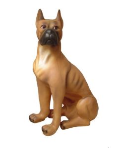 Boxer Kampfhund lebensgroß