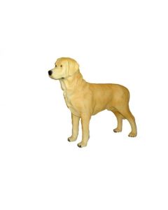 Labrador stehend lebensgroß