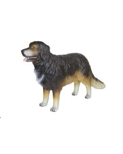 Berner Sennenhund lebensgroß