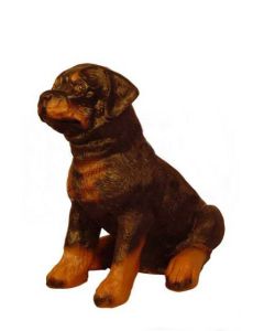 Sitzender Rottweiler lebensgroß