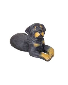 Rottweiler liegend Kampfhund lebensgroß