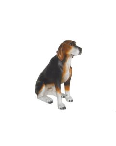 Jagdhund lebensgroß