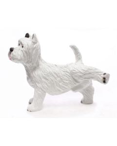 West Highland White Terrier lebensgroß