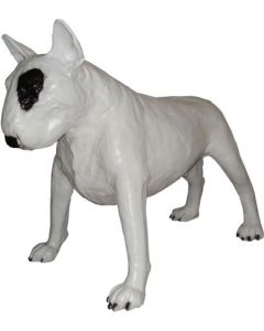 Bullterrier Kampfhund lebensgroß