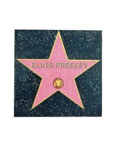 Hall of Fame Fliese Elvis lebensgroß