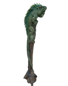 Leguan Drache auf Baumstamm lebensgroß