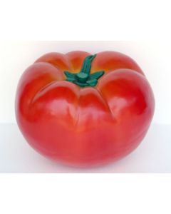 Tomate übergroß XXL