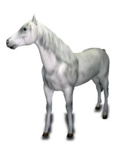 Schimmel Pferd mit Echthaar lebensgroß
