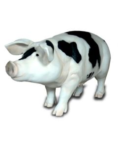 Schwein lebensgroß gefleckt lebensgroß