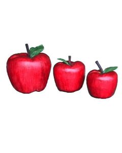 Apfel GFK vergrößert
