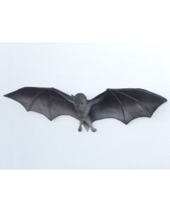 Fledermaus Vampir klein lebensgroß