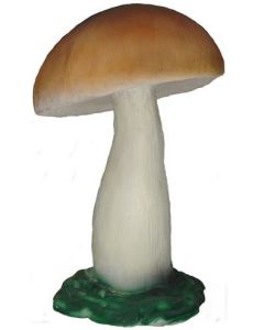 Steinpilz vergrößert
