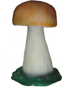Steinpilz 2 vergrößert