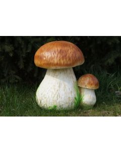 Steinpilze vergrößert