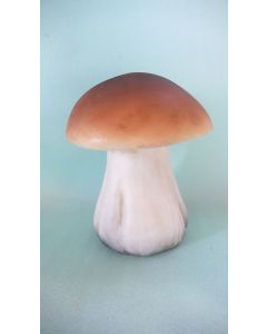 Kleiner Steinpilz vergrößert