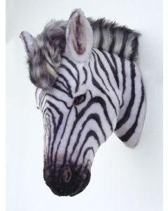 Zebrakopf lebensgroß