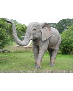 Elefant lebensgroß Rüssel oben lebensgroß