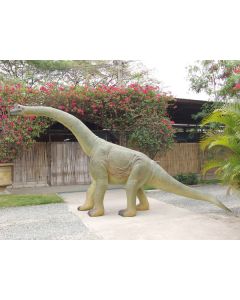 Saurier Baby Brachiosaurus lebensgroß
