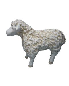 Schaf stehend verkleinert